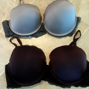 Torrid bras